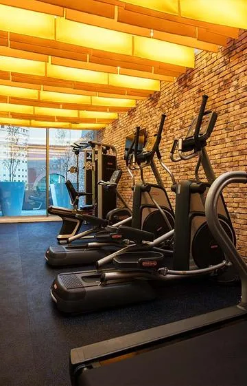 Krystal Urban Guadalajara gym