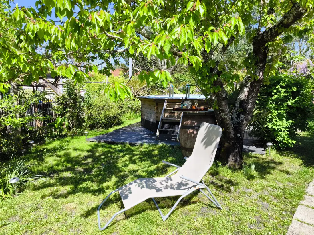 A leafy garden with a reclining seat beside a small raised pool.