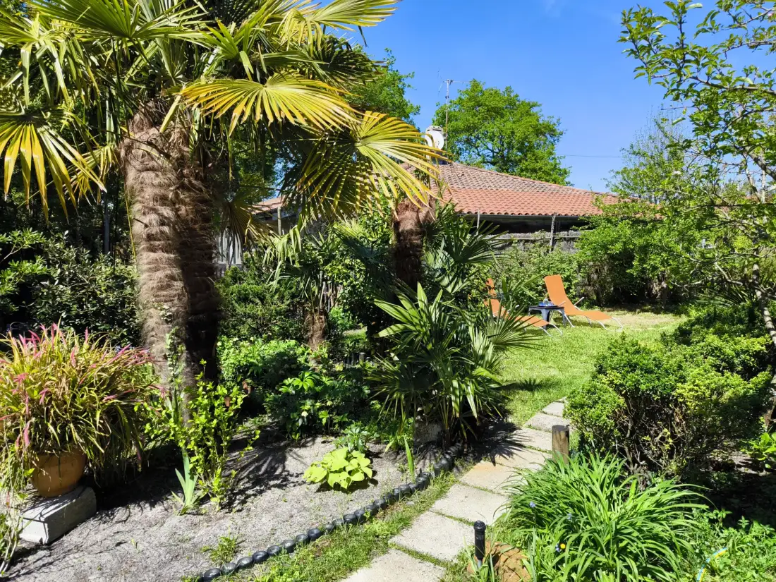 Garden with lush palms and an orange lounge chair beside a house.