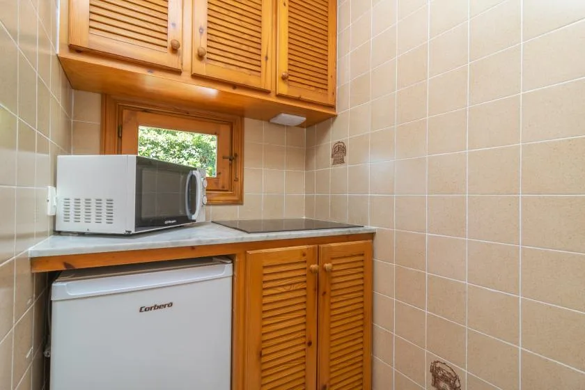 A compact kitchenette with wooden cabinets, a microwave, and a small window.