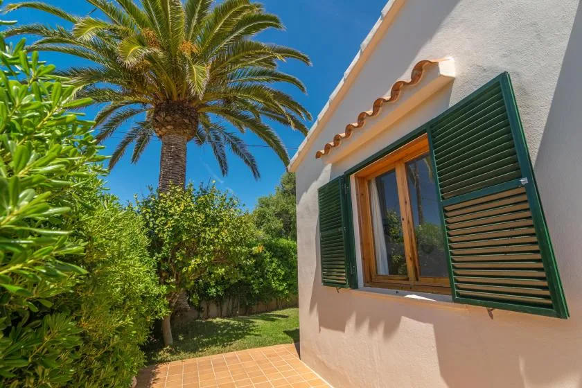 A sunny exterior with a window, green shutters, and a palm tree.