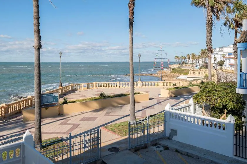A seaside promenade with palm trees, paved paths, and a view of the ocean.