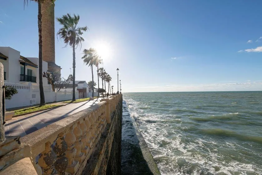 A seaside promenade runs beside a stone seawall, with palm trees and waves.
