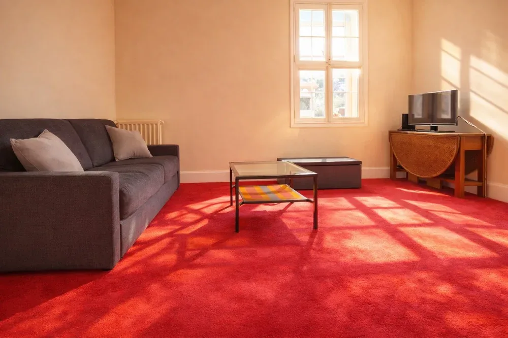 A living room with seating, a coffee table, and sunlight across the carpet.