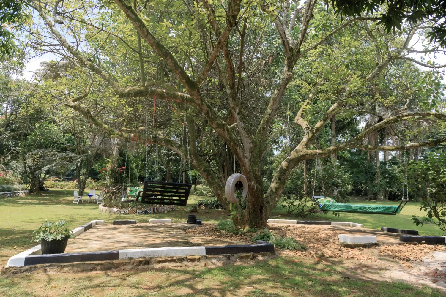 Columpios del jardín