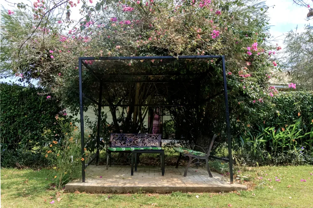 Pérgola del jardín