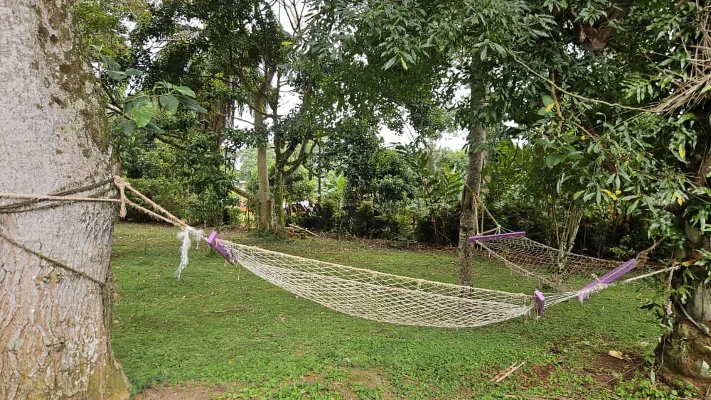 Hamaca del jardín