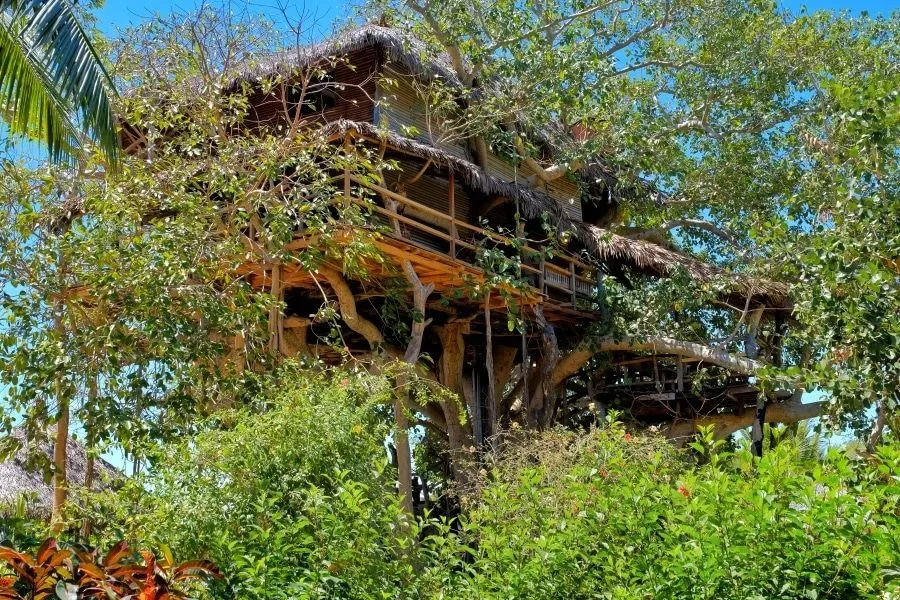 Tarzon bungalow