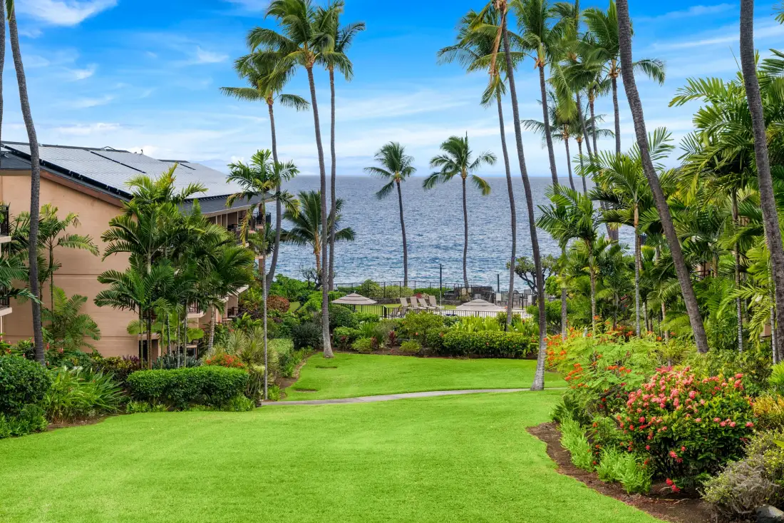 Un jardín tropical con césped y palmeras se asoma al océano.