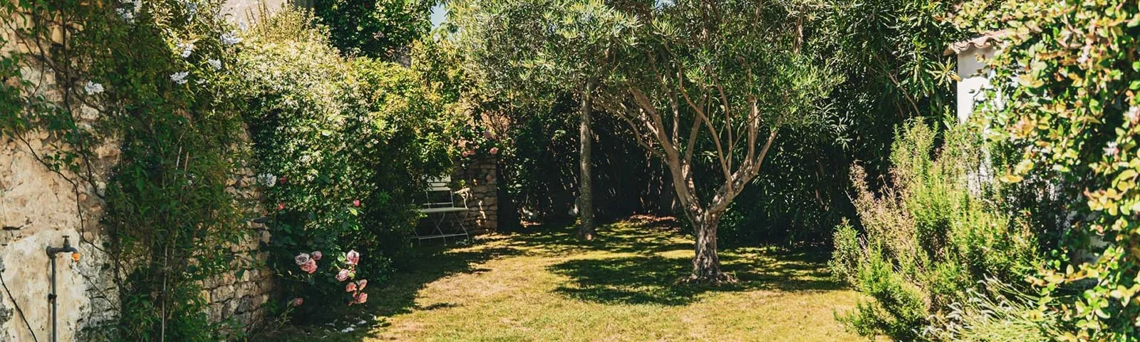 Jardín