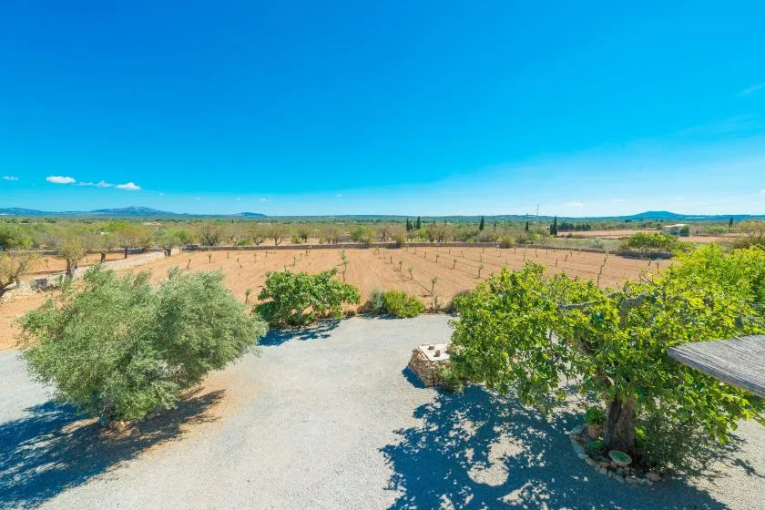 A gravel courtyard overlooks a dry landscape dotted with trees beneath a clear blue sky.