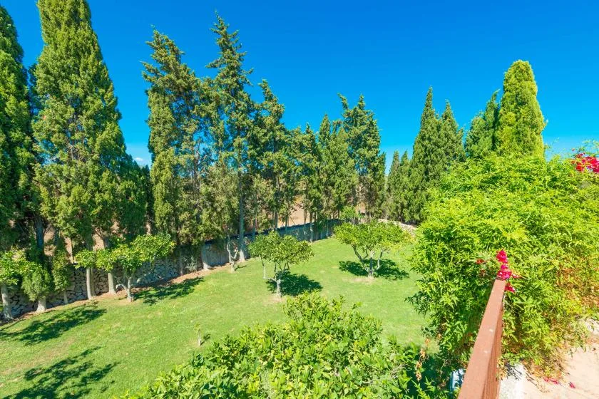 A green garden with a grassy slope, shrubs, and tall trees under a clear blue sky.