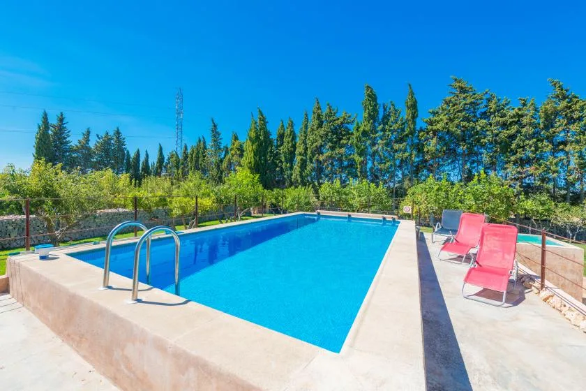 An outdoor swimming pool bordered by trees and several lounge chairs.