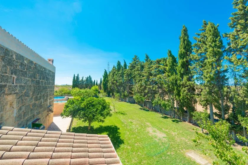 A grassy yard bordered by tall trees beside a stone building.