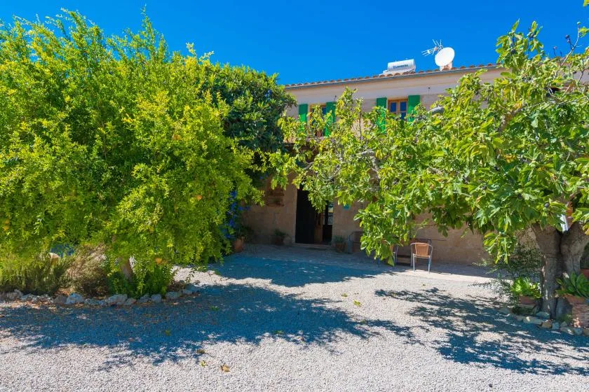 A leafy courtyard with a gravel ground and a building behind the trees.
