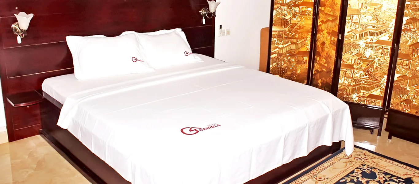 Banner del Hotel Ganiela 2