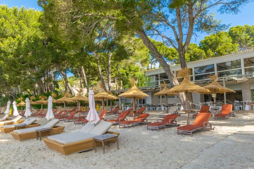 A sandy outdoor lounge area has sun loungers and thatched parasols beneath trees.