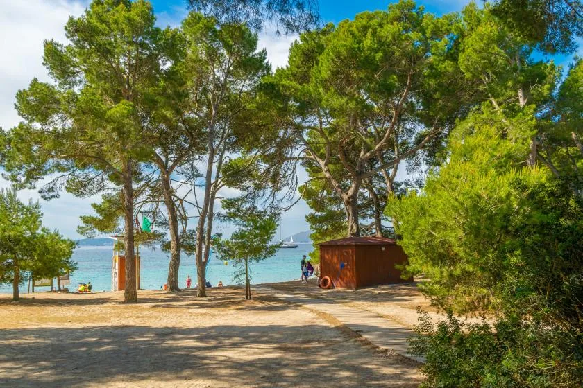 A shaded waterfront area with pine trees, a small wooden building, and the sea beyond.