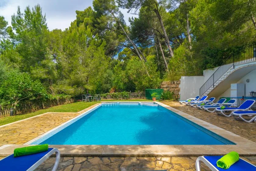 An outdoor swimming pool is surrounded by trees and lounge seating.