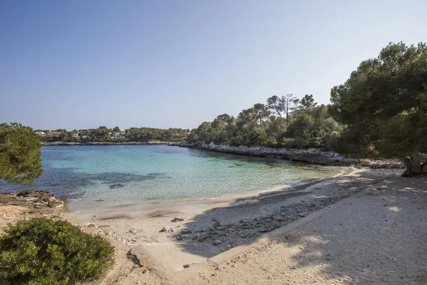 A sandy cove curves around clear blue water, with trees along the shore.