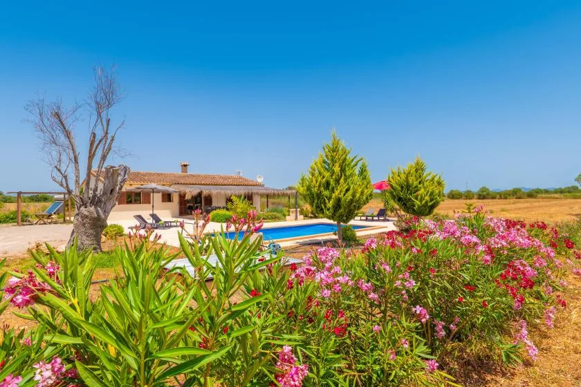 A swimming pool sits beside a single-story house, surrounded by flowering shrubs and trees.