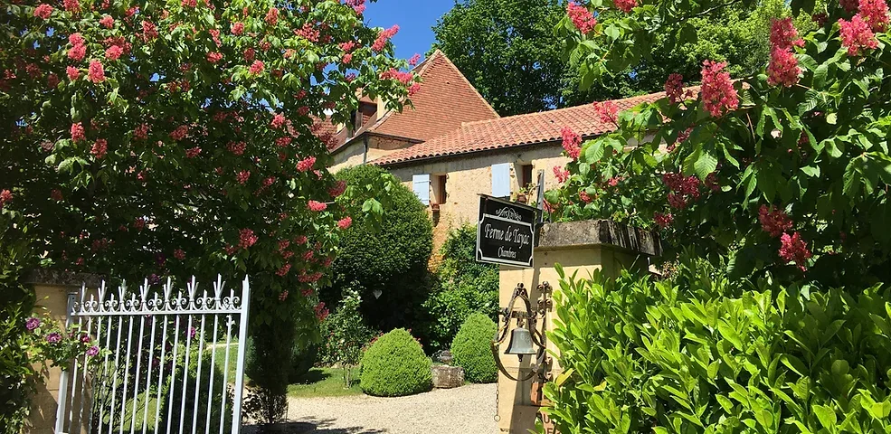 Garden entrance beneath chestnut trees