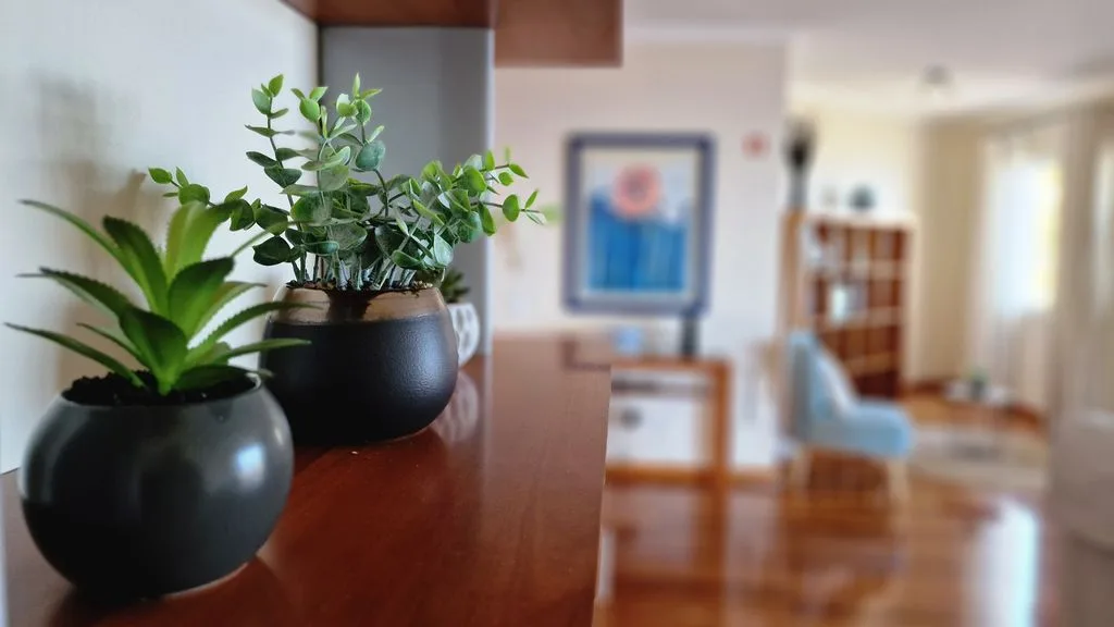 Una sala luminosa con plantas en macetas sobre un mostrador de madera.