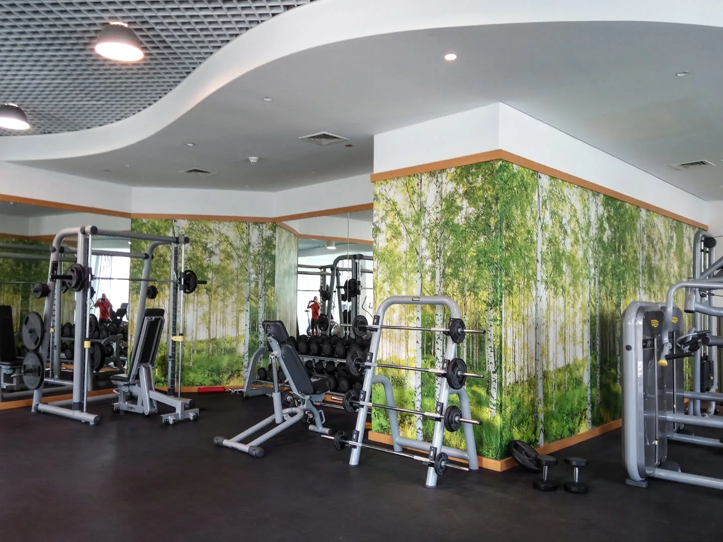 Un gimnasio con máquinas de pesas y equipo frente a un mural de hojas.