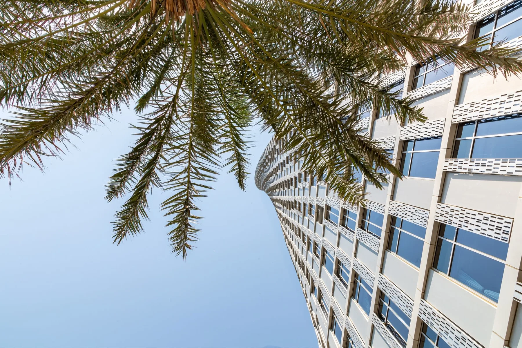 Un edificio alto se eleva junto a hojas de palma bajo un cielo despejado.