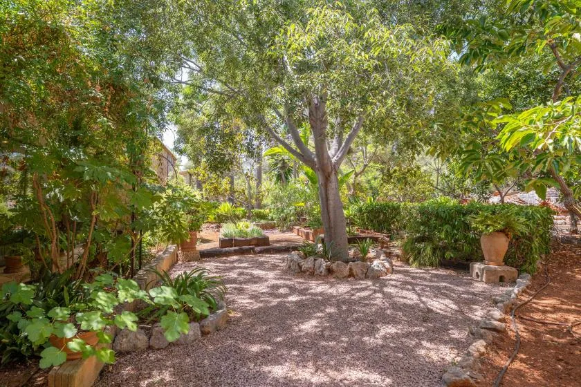 A shaded garden courtyard with leafy trees, planted borders, and a gravel path.