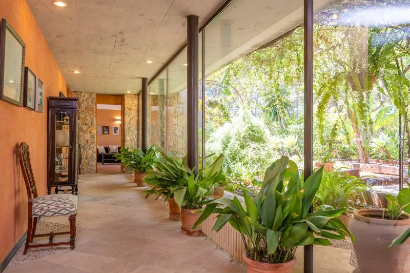 A bright indoor walkway with potted plants beside large glass windows.