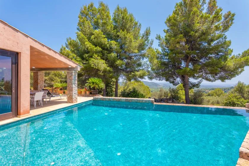 A swimming pool beside a patio, with tall trees and distant hills.
