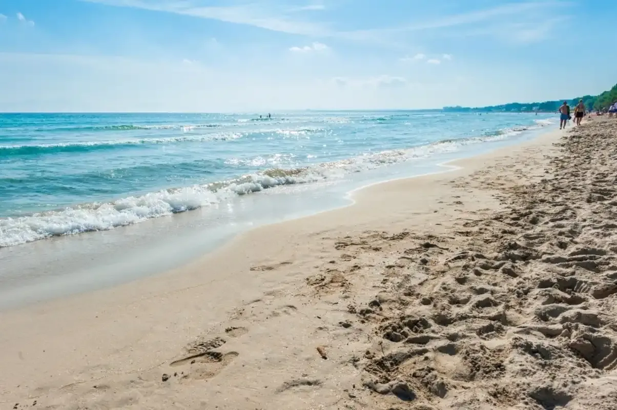 A sandy beach meets the blue sea beneath a clear sky.