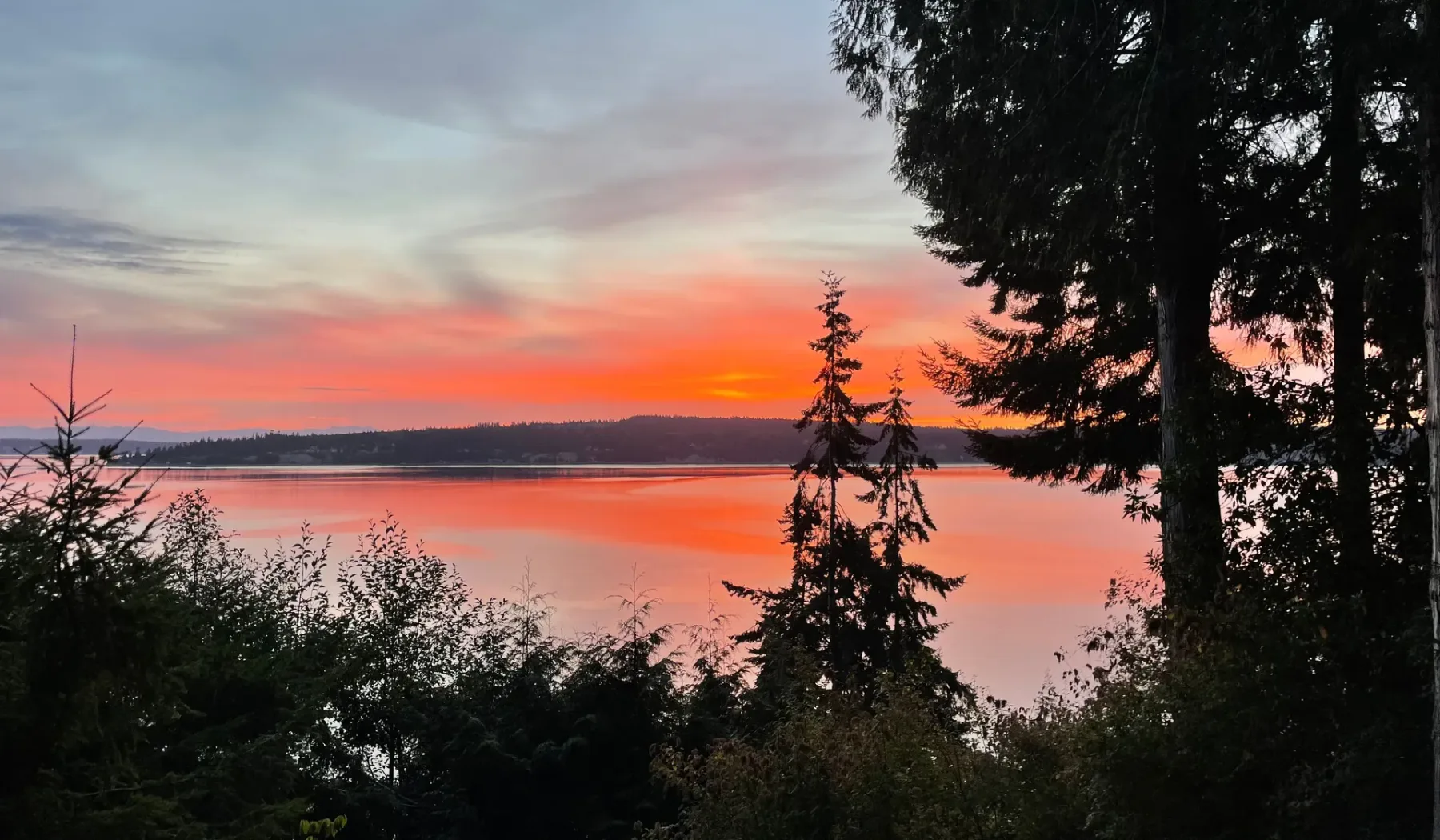 El atardecer ilumina un lago, enmarcado por árboles oscuros.