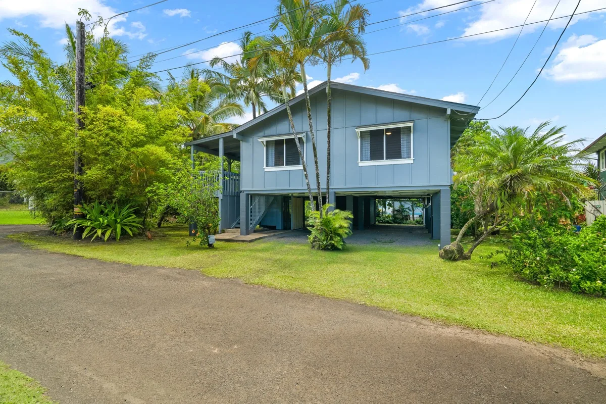 Una casa azul elevada está junto a una carretera pavimentada, rodeada de vegetación tropical.