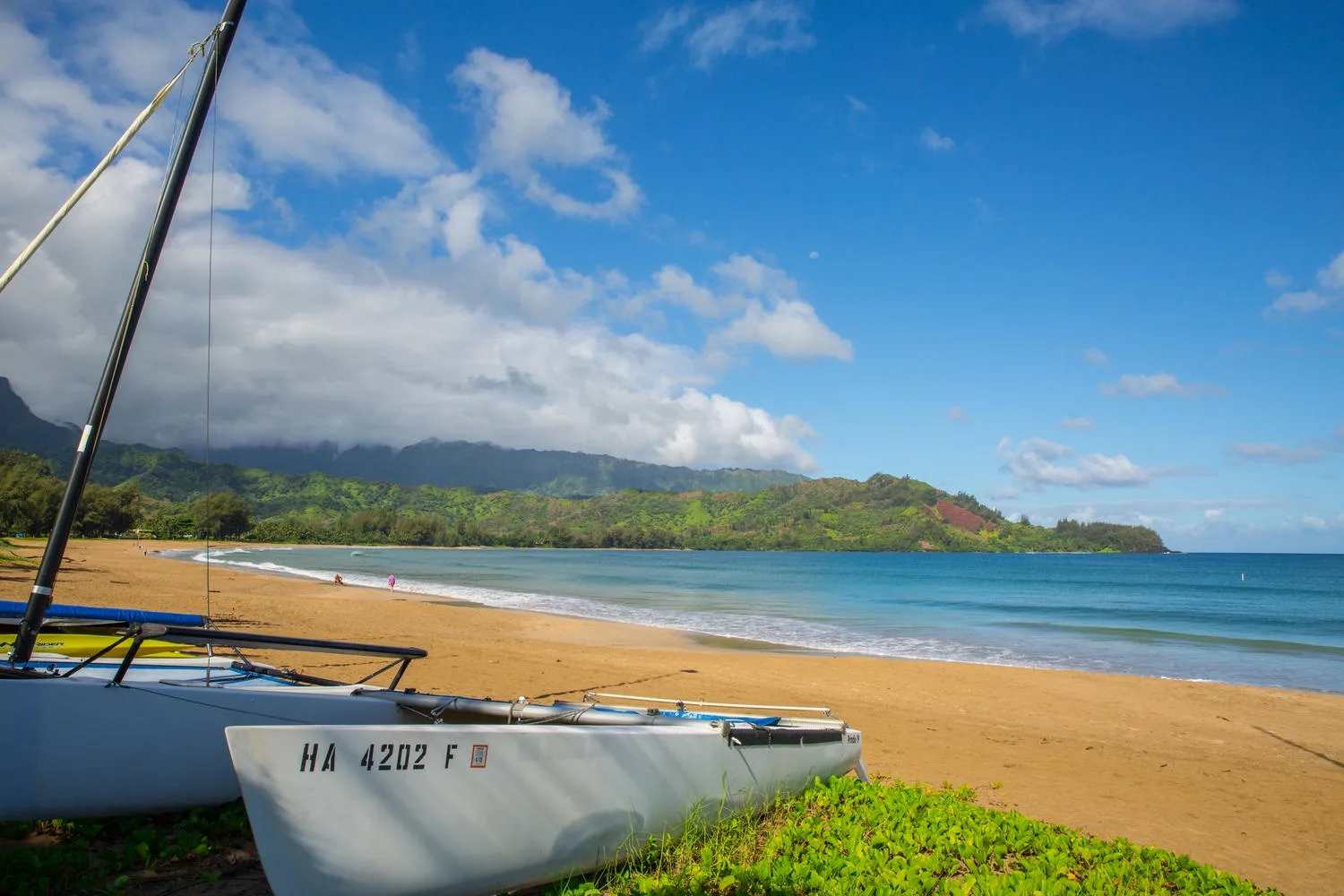 Una playa de arena junto al agua azul, con un pequeño velero en primer plano.