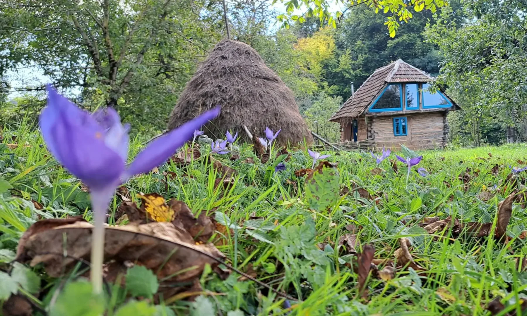 Casa Strâmbă