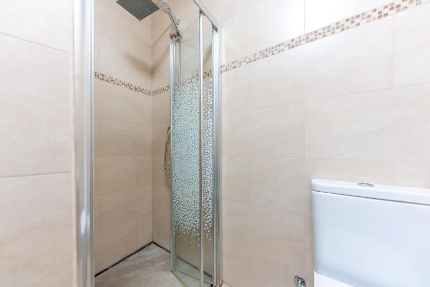 Un baño alicatado con ducha de vidrio e inodoro.