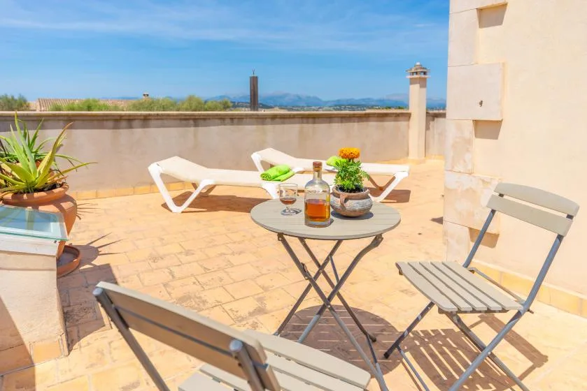 Una terraza soleada con asientos al aire libre, una mesa pequeña y plantas en macetas.