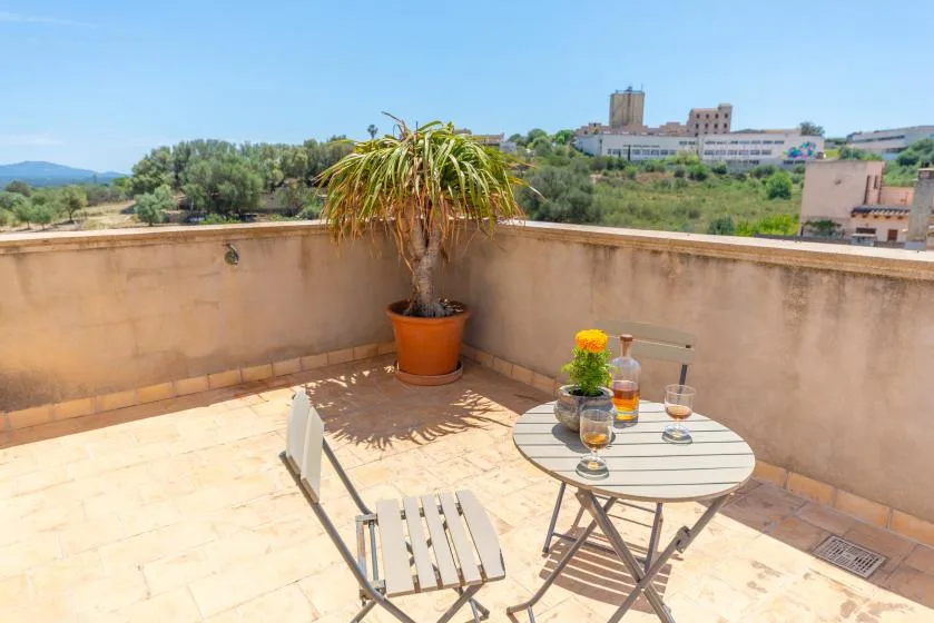 Una terraza soleada tiene una mesa pequeña, asientos y una planta en maceta.