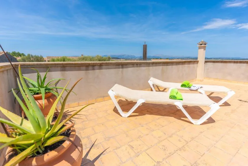 Una terraza soleada en la azotea con tumbonas y plantas en macetas.