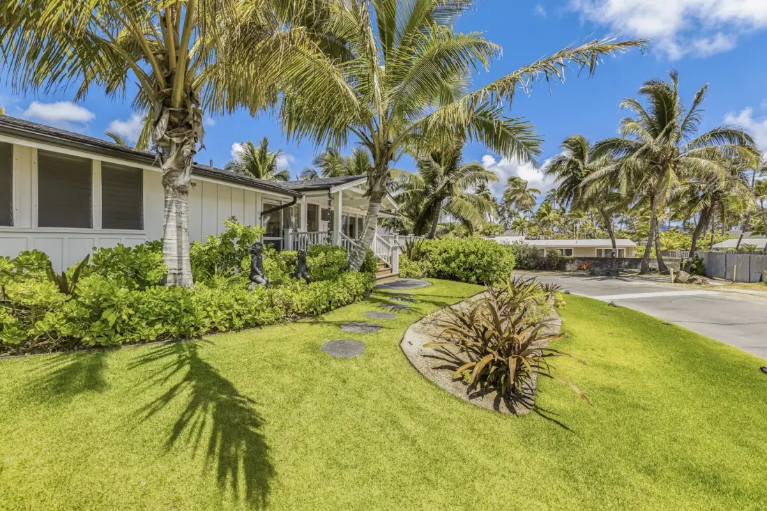 A landscaped outdoor area with palm trees, green lawn, and a paved driveway.