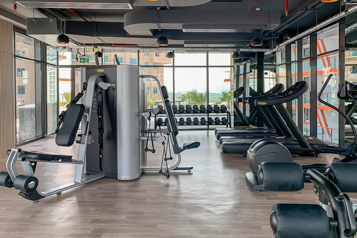 A gym with exercise machines and a row of weights beside large windows.
