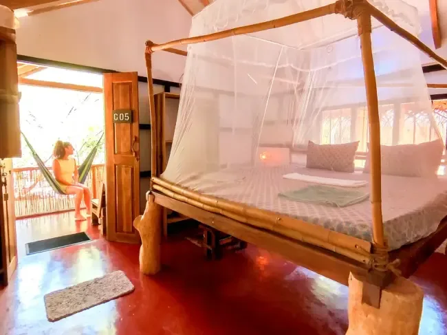 Exterior del chalet ecológico con jardín