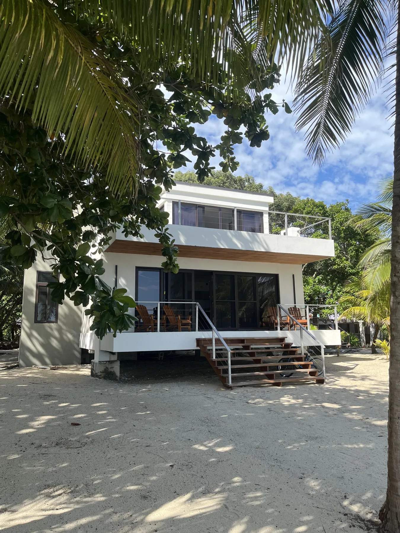 A modern house stands among palm trees on a sandy lot.