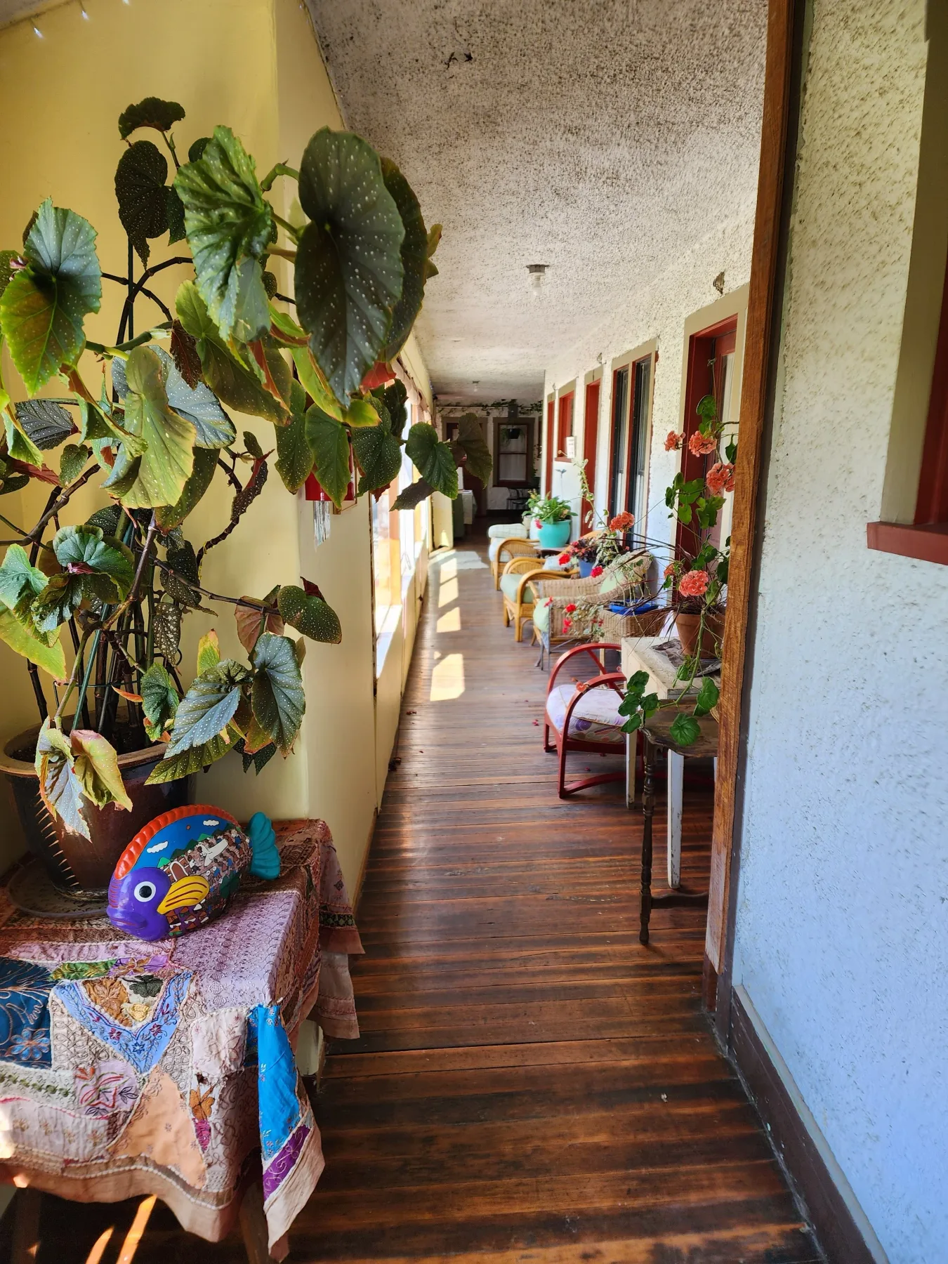 Porche acogedor con sillas y plantas
