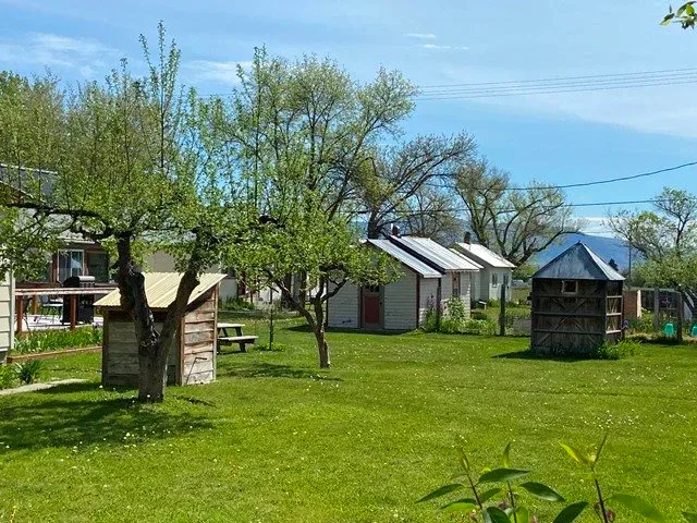 Jardín con césped, cobertizos y viviendas circundantes