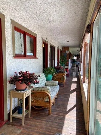 Pasillo interior soleado con sillas de mimbre y plantas