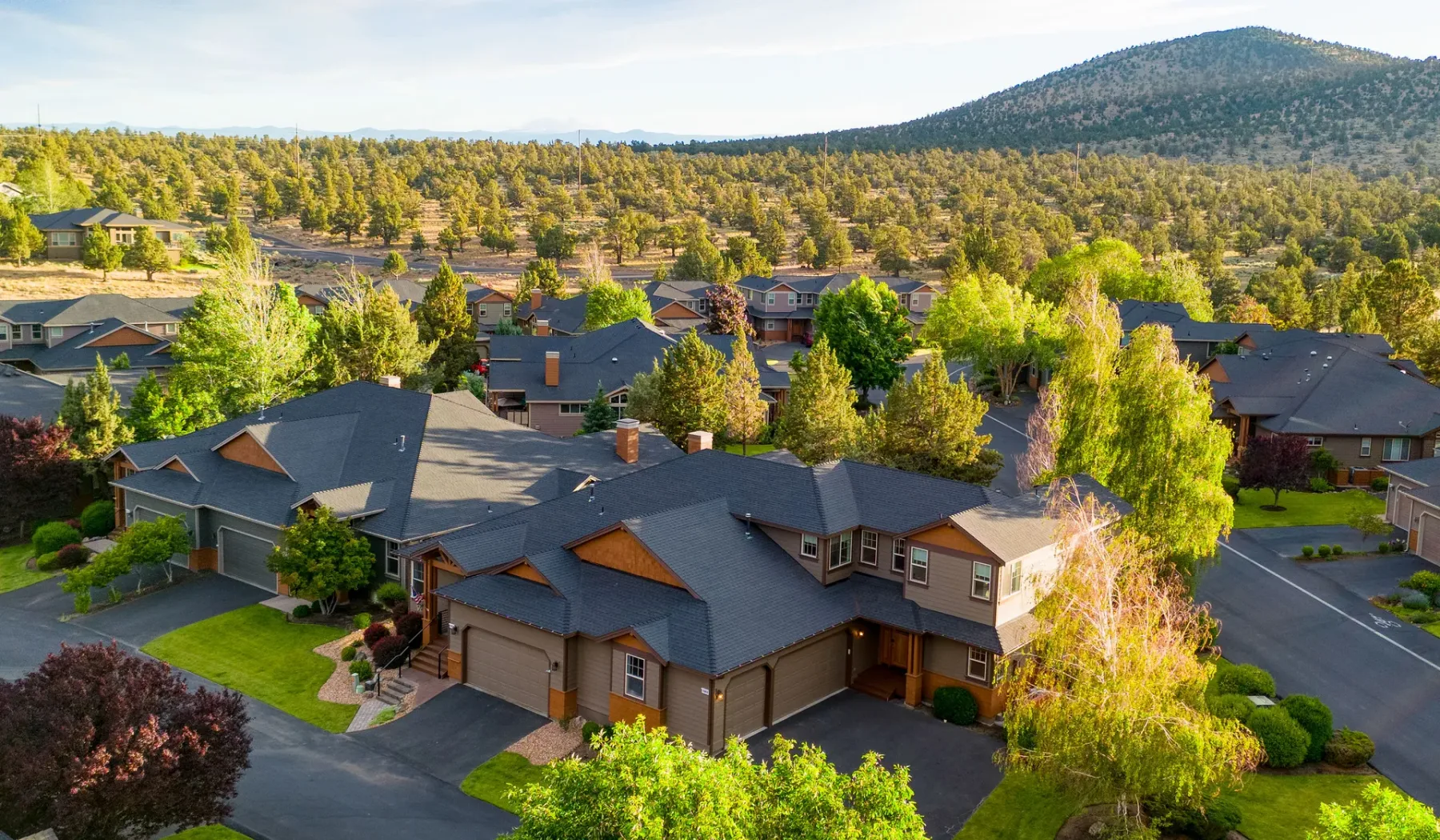 A residential neighborhood of houses among trees, with a wooded hill in the background.