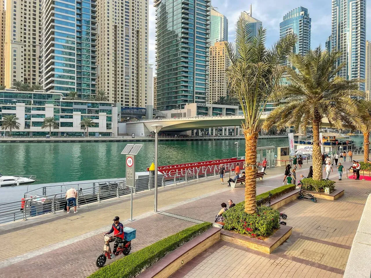 A waterfront promenade with palm trees, a canal, and high-rise buildings.